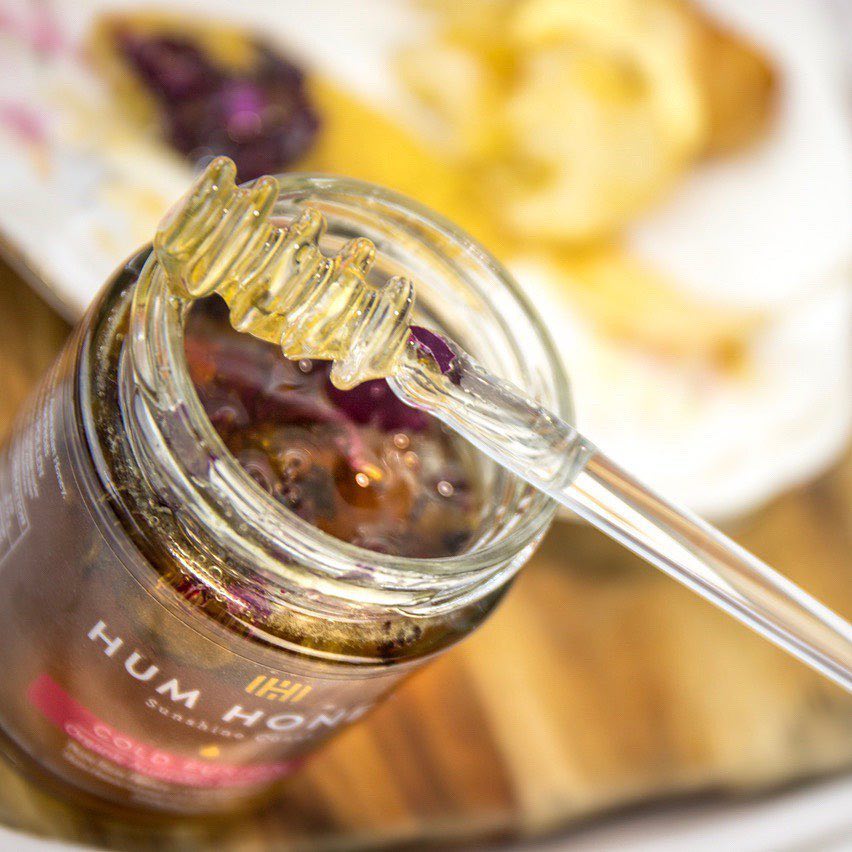 Wildlife restoration project leads to cold fusion honey business for Sunshine Coast beekeepers