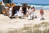 Keep on mopping ... Around 25 per cent of the pollution has been removed from Moreton Island beaches.