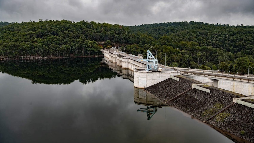 A dam wall sits between a line of water and a line of trees.