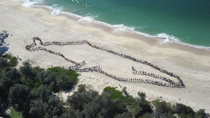 Human whale at Shoal Bay, Port Stephens.