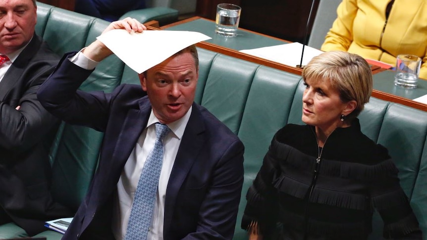 Christopher Pyne holds a piece of paper over his head during question time.