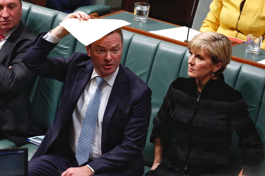 Christopher Pyne holds a piece of paper over his head during question time.