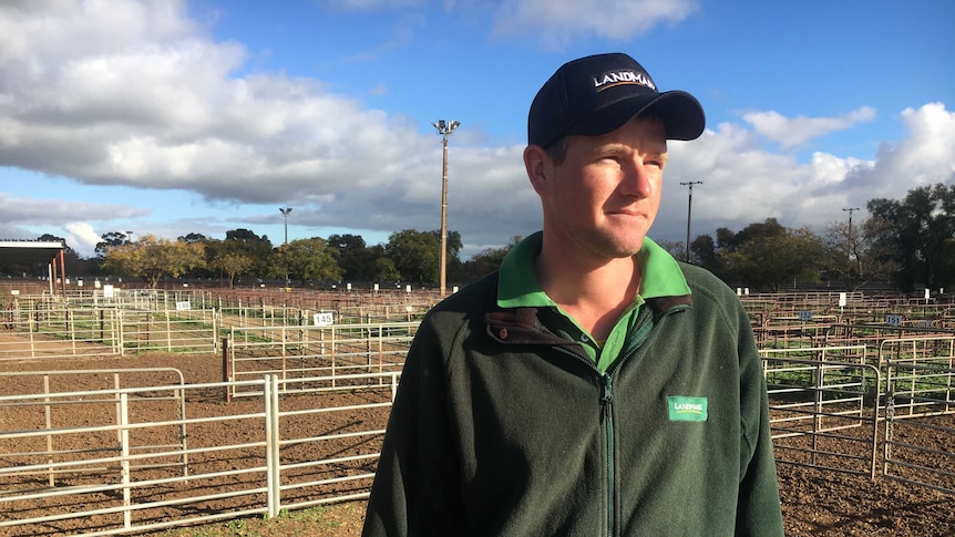 A man in a green jacket and cap stands in front of empty sheep saleyards.