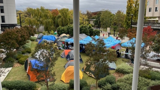 tents on a lawn, as seen through a window 