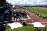 Adelaide Cup at Morphettville Racecourse