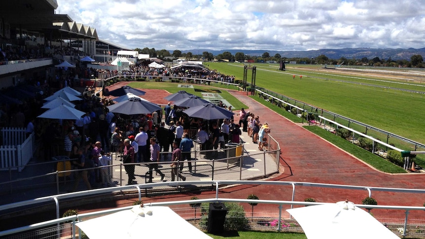 Adelaide Cup at Morphettville Racecourse