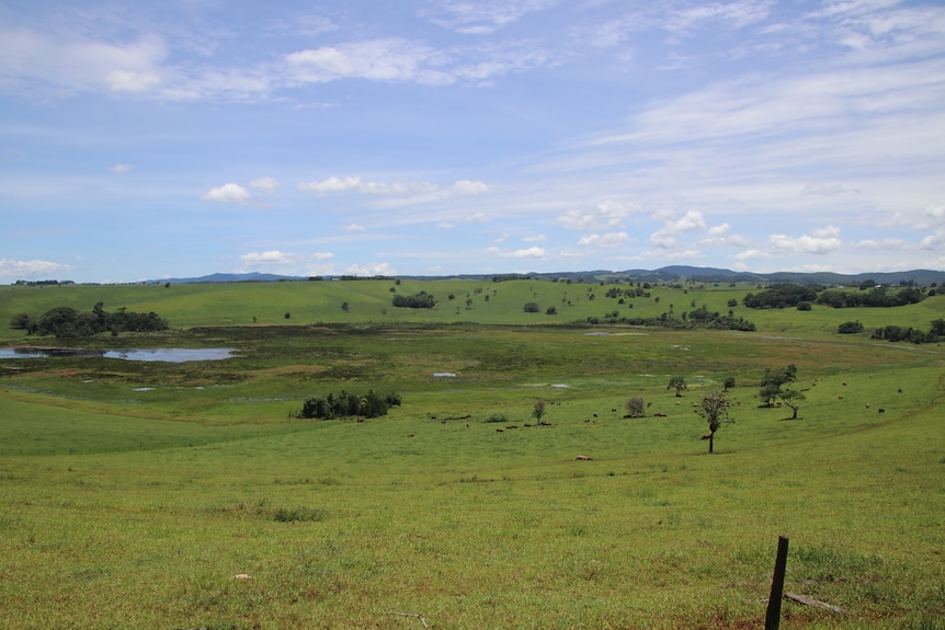 A large crater filled with water and swamp marsh.