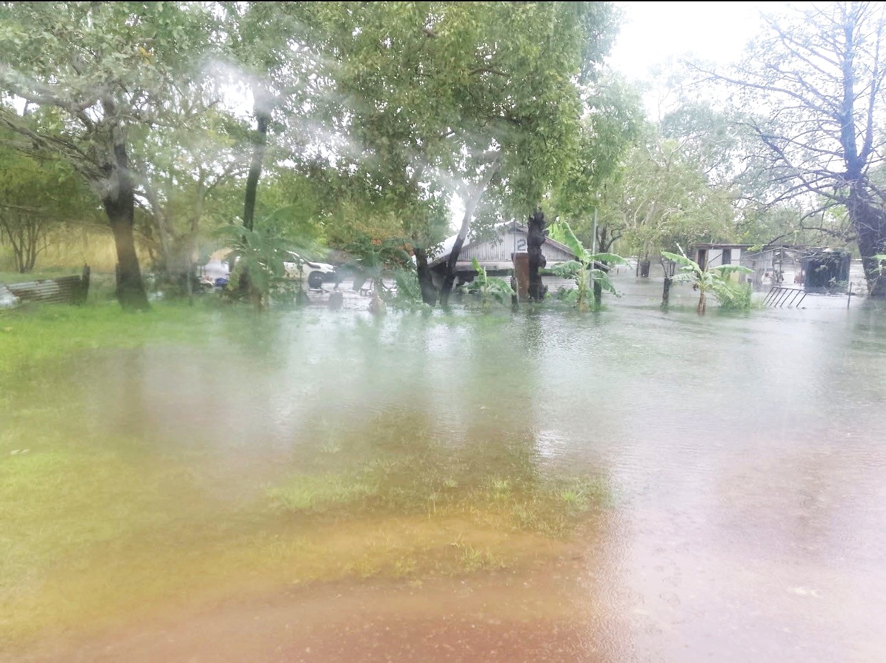 Hazy image of backyard area, with flood waters reaching shed, and surrounds, grass beneath water visible.