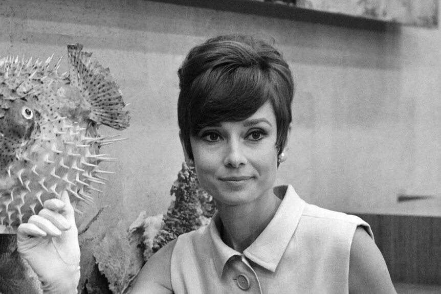 An archive photo taken on August 23, 1965 shows British actress Audrey Hepburn at Orly airport.
