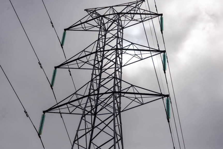 A closeup photo of a powerline.