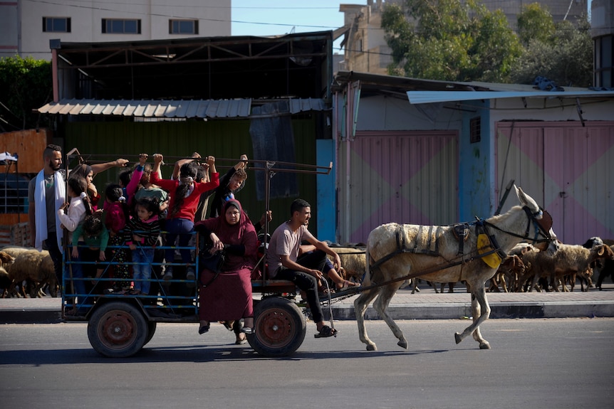A family balances on a cart being pulled by a donkey. 