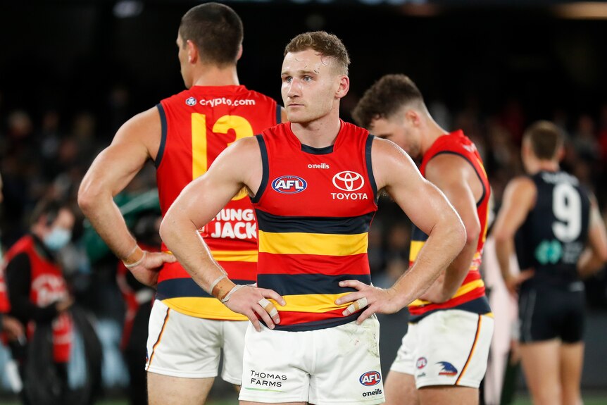 An Adelaide AFL player stands staring downfield with hands on hips after a loss for his team.
