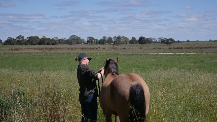 A woman and a tawny horse look out over lush plains