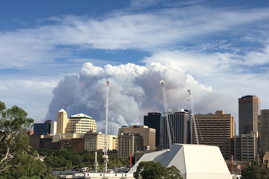 City smoke plume