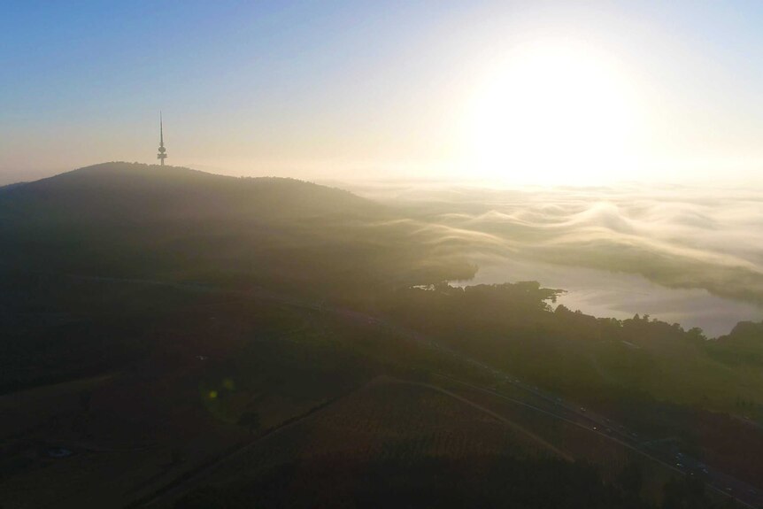 An aerial shot of Canberra and Black Mountain Tower.