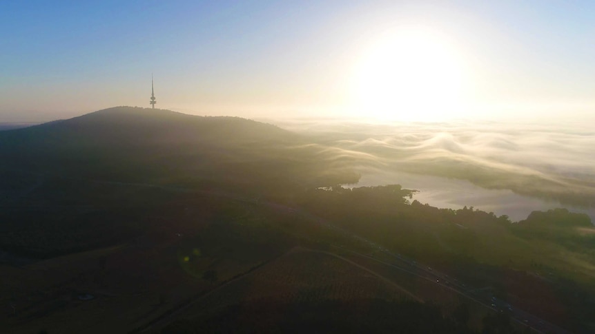 An aerial shot of Canberra and Black Mountain Tower.