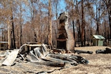 Burnt-out structure in bushland.