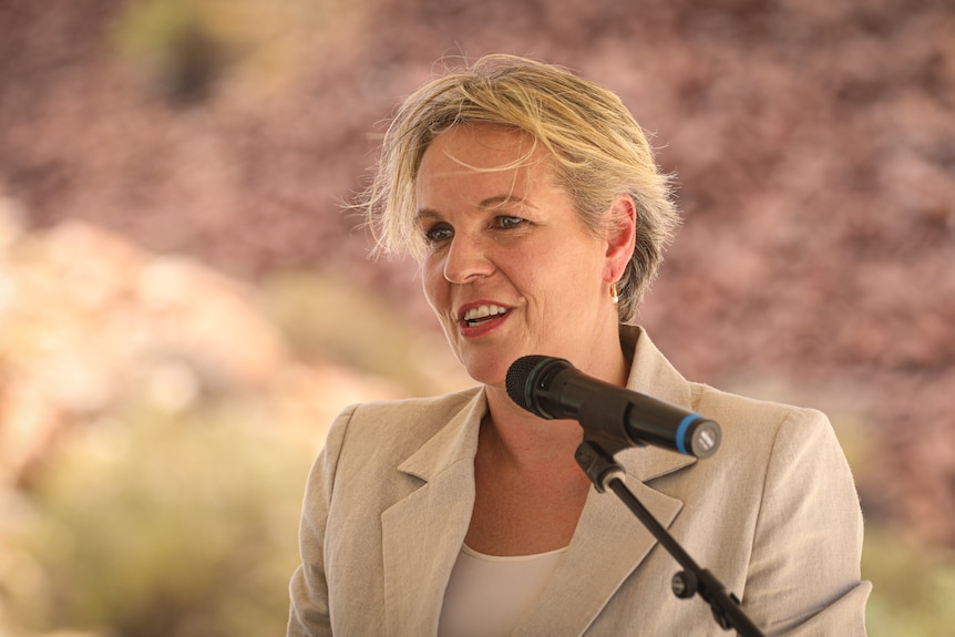 A woman speaks into a microphone.