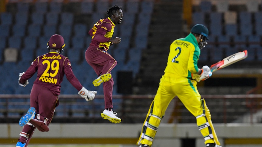 A West Indian bowler leaps in the air joyously as the Australian batsman he has dismissed turns to trudge off.