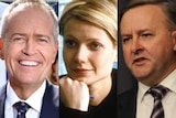 A composite photo of Bill Shorten, Gwyneth Paltrow and Anthony Albanese