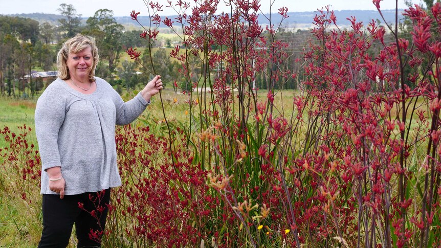 A blond woman standing next to a red bush on a rural property