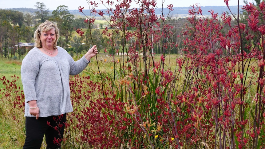 A blond woman standing next to a red bush on a rural property