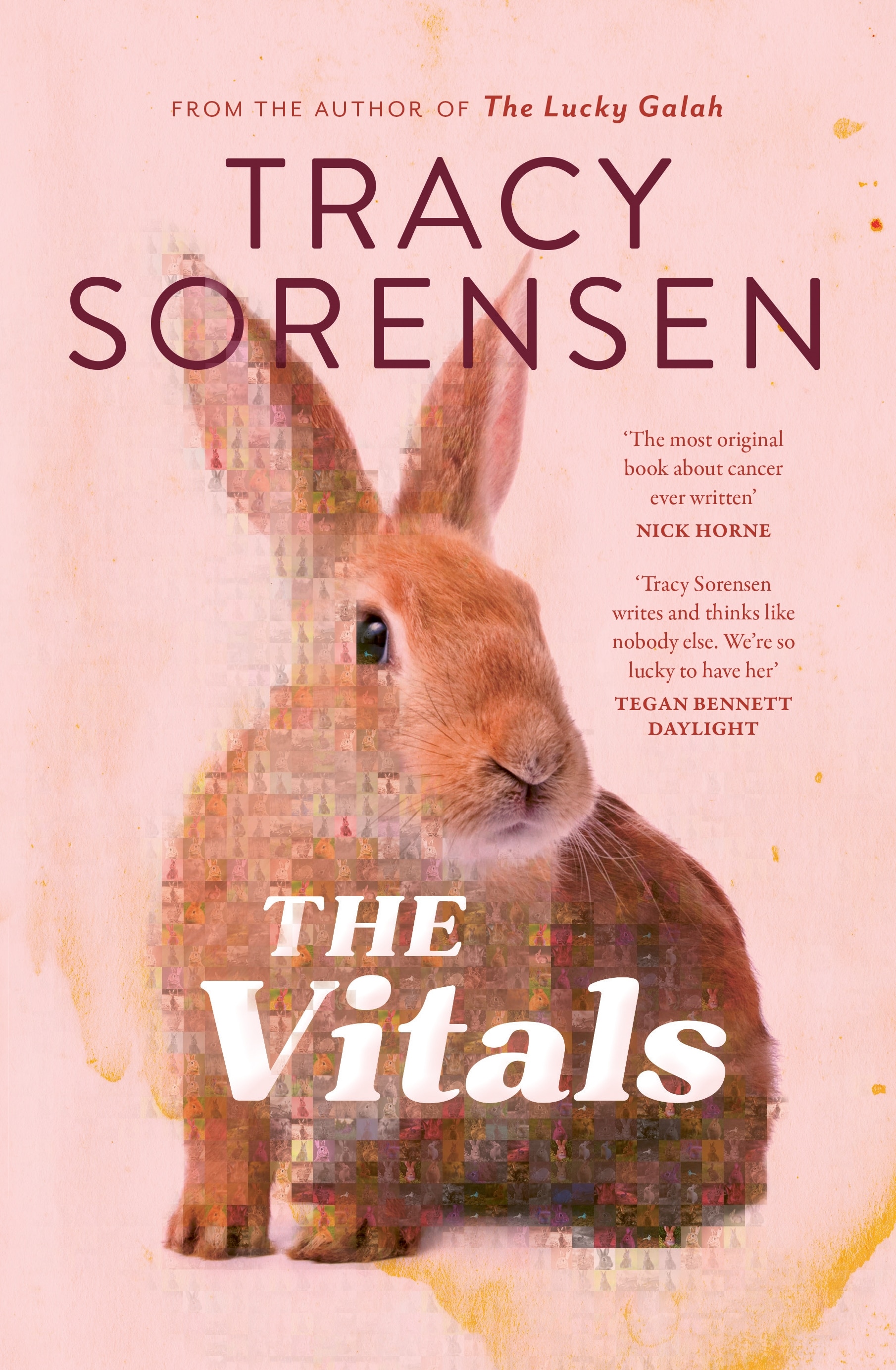 Image The Vitals by Tracy Sorensen, with a cover image of a pixelated brown rabbit with a pink background