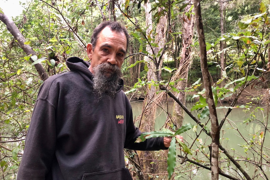 A First Nations man with a beard holds the leaf of a wild macadamia tree.