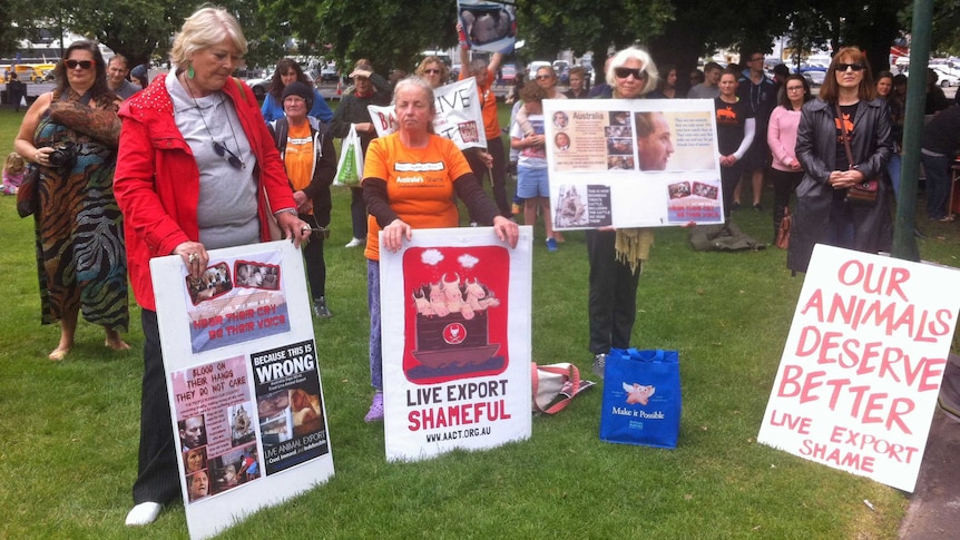 Live export protest in Hobart