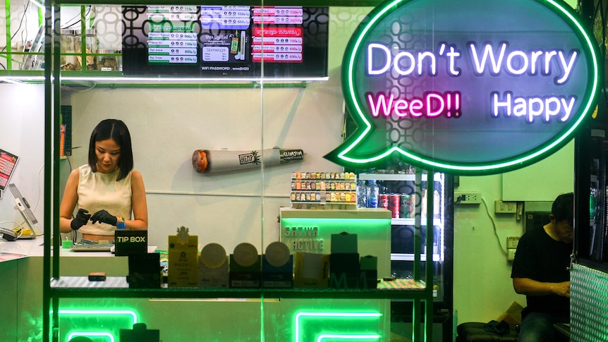 A woman works inside a cannabis shop.