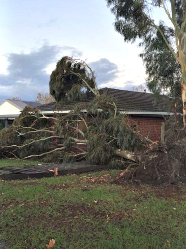 Storm damage at Narre Warren South