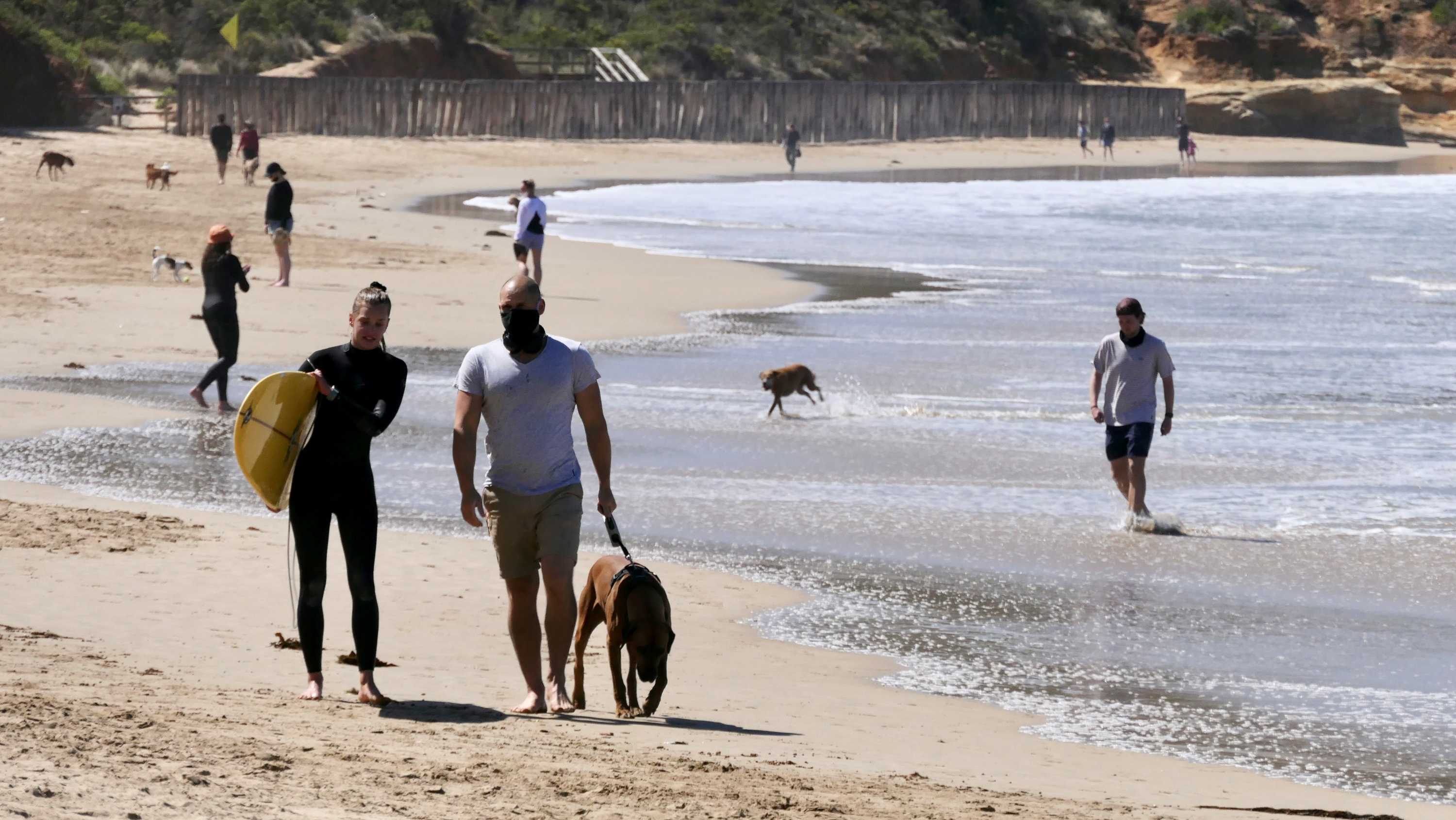 Surfers in black wetsuits and people wearing masks walk down the beach at Anglesea, many are walking their dogs.