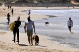 Surfers in black wetsuits and people wearing masks walk down the beach at Anglesea, many are walking their dogs.