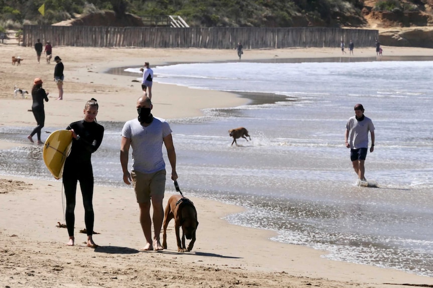 Surfers in black wetsuits and people wearing masks walk down the beach at Anglesea, many are walking their dogs.