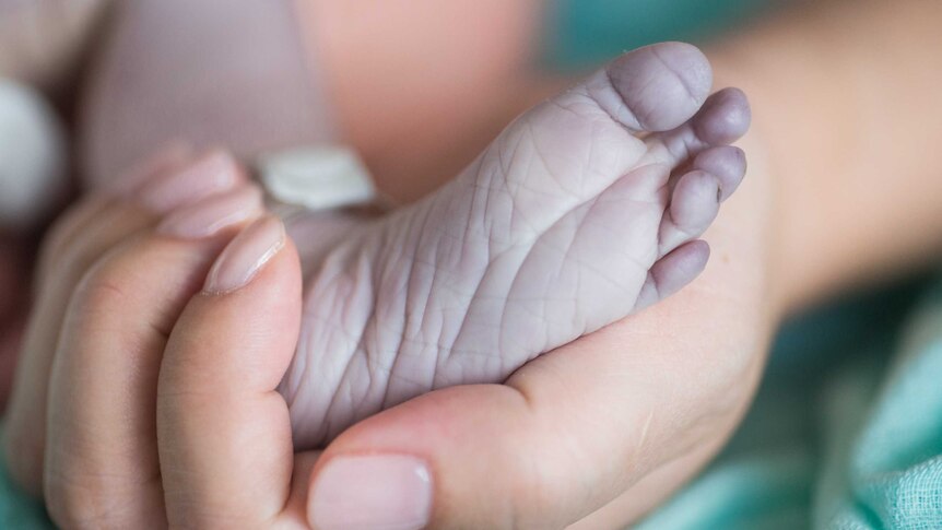 The foot of Chloe, who was stillborn in a Sydney hospital, August 2016