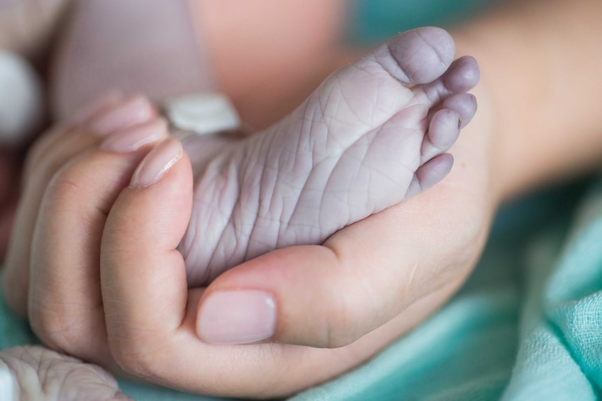 The foot of Chloe, who was stillborn in a Sydney hospital, August 2016