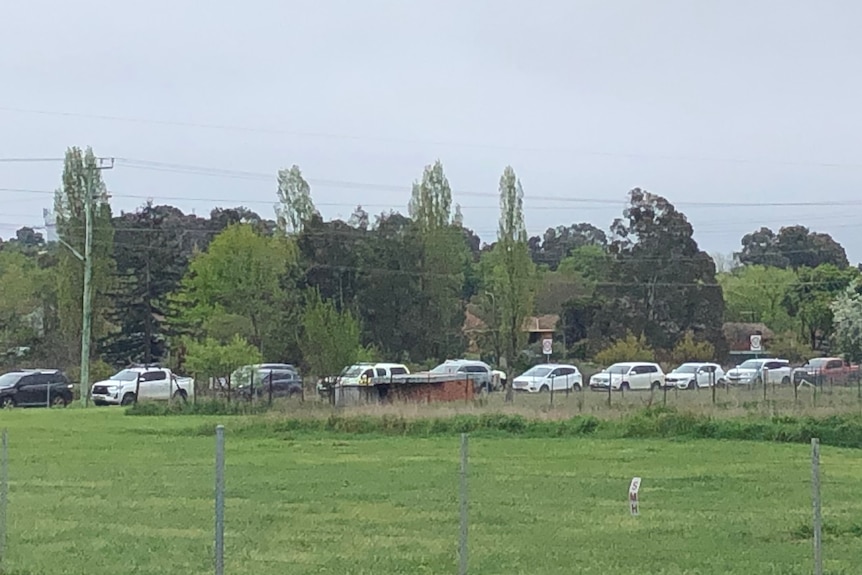 Cars lined up along the side of a paddock 