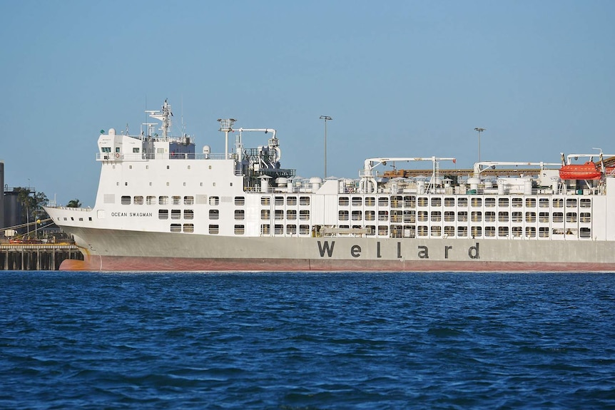 A live export ship moored at a port in Queensland.