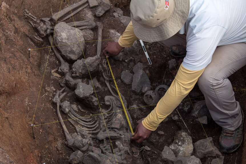 A man crouching on top of a skeleton and measuring the length of it using a yellow tape measure.