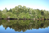 The Pieman River in north-west Tasmania