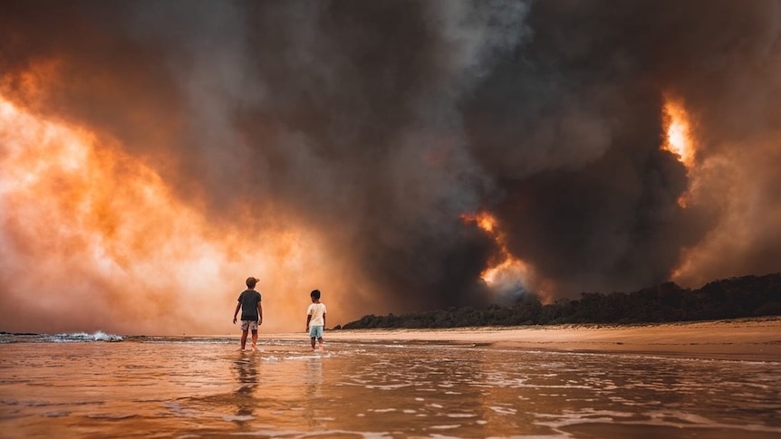 Two children stand in the ocean at the beach as a huge fire rages in the distance, the sky is all smoke.
