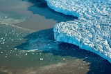 The edge of a jagged ice field meets the ocean.