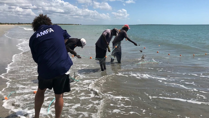 Fisherman standing on the beach pull in a net with fish off the coast of Maningrida.