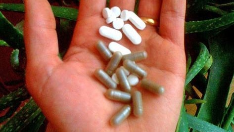 A hand holds herbal supplements.