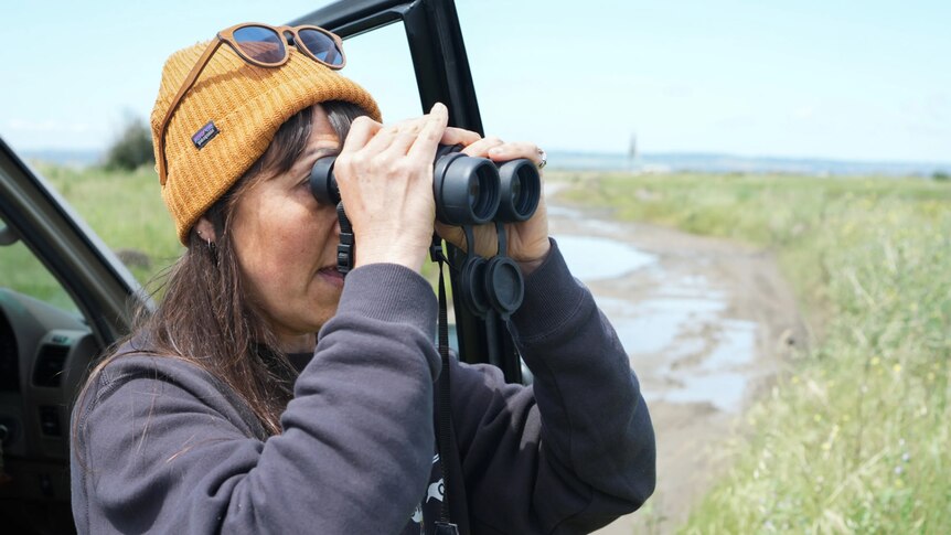A woman stands beside an open car door and looks through binoculars
