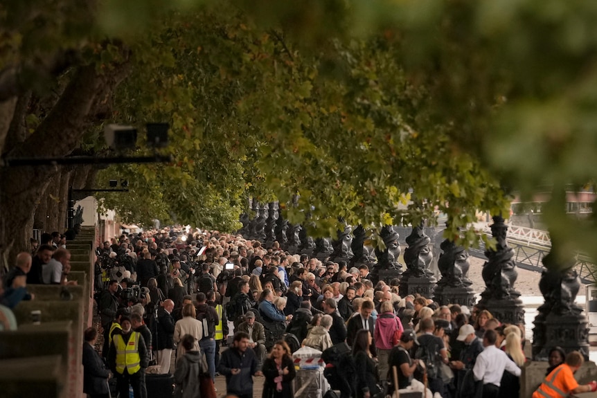 Thousands of people line up to pay respects to Queen under shady green trees on sunny day