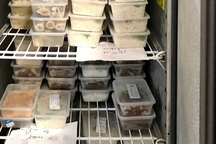 A freezer full of plastic containers of food