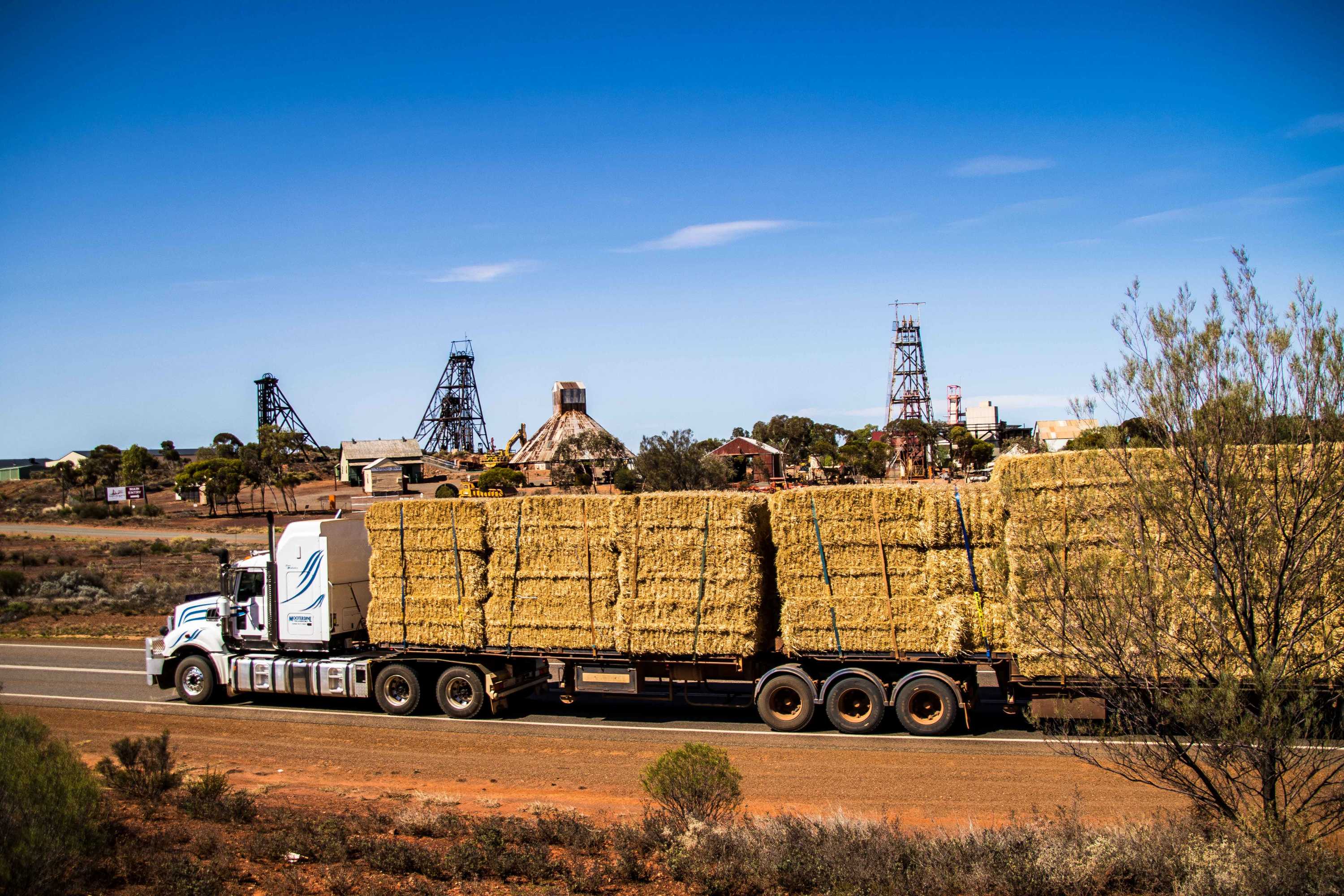 Drought Stricken Wa Pastoralists Given Much Needed Reprieve With Donated Hay Abc News