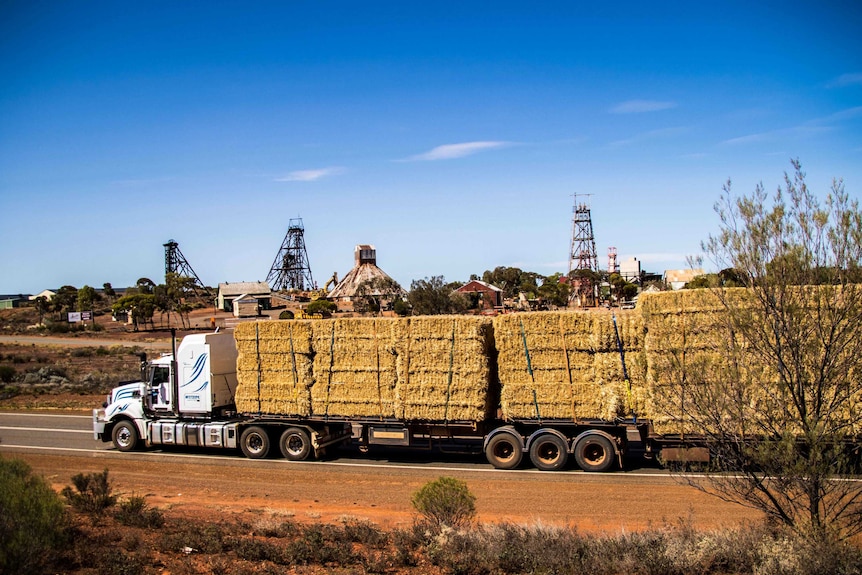 A truck loaded with hay in the Goldfields