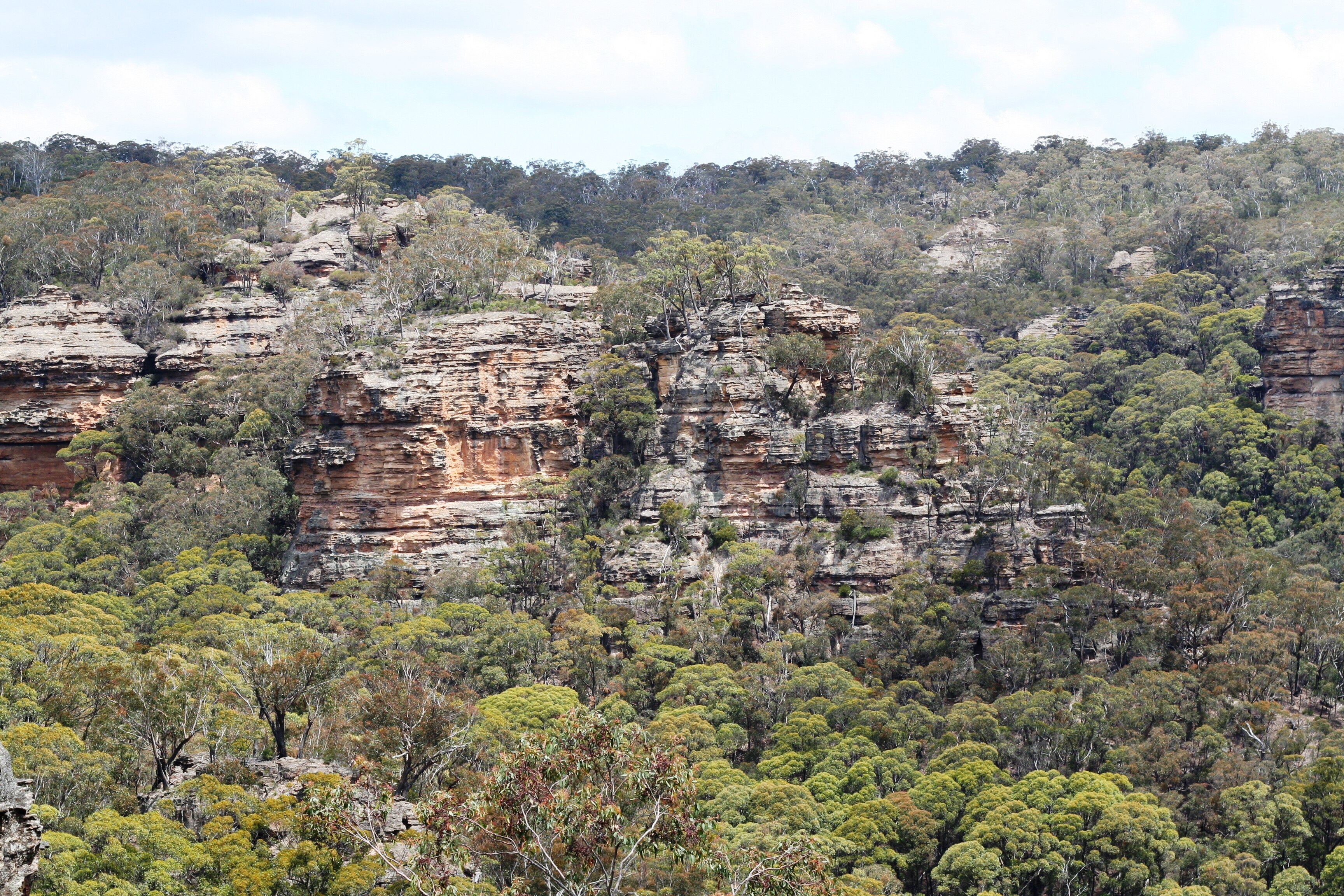 Declaring the value of the Dharawal - ABC Radio National